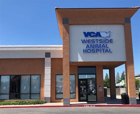 vca animal hospital near me|vca veterinary clinic near me.